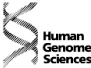 (HUMAN GENOME SCIENCES, INC. LOGO)